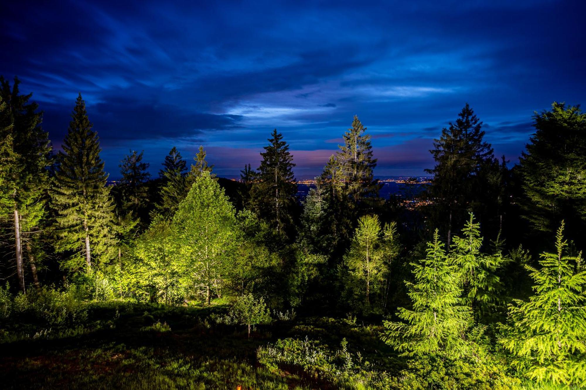 Sonnenhaeusle - Natur. Fernblick. Panorama-Sauna. Sasbachwalden Exterior photo