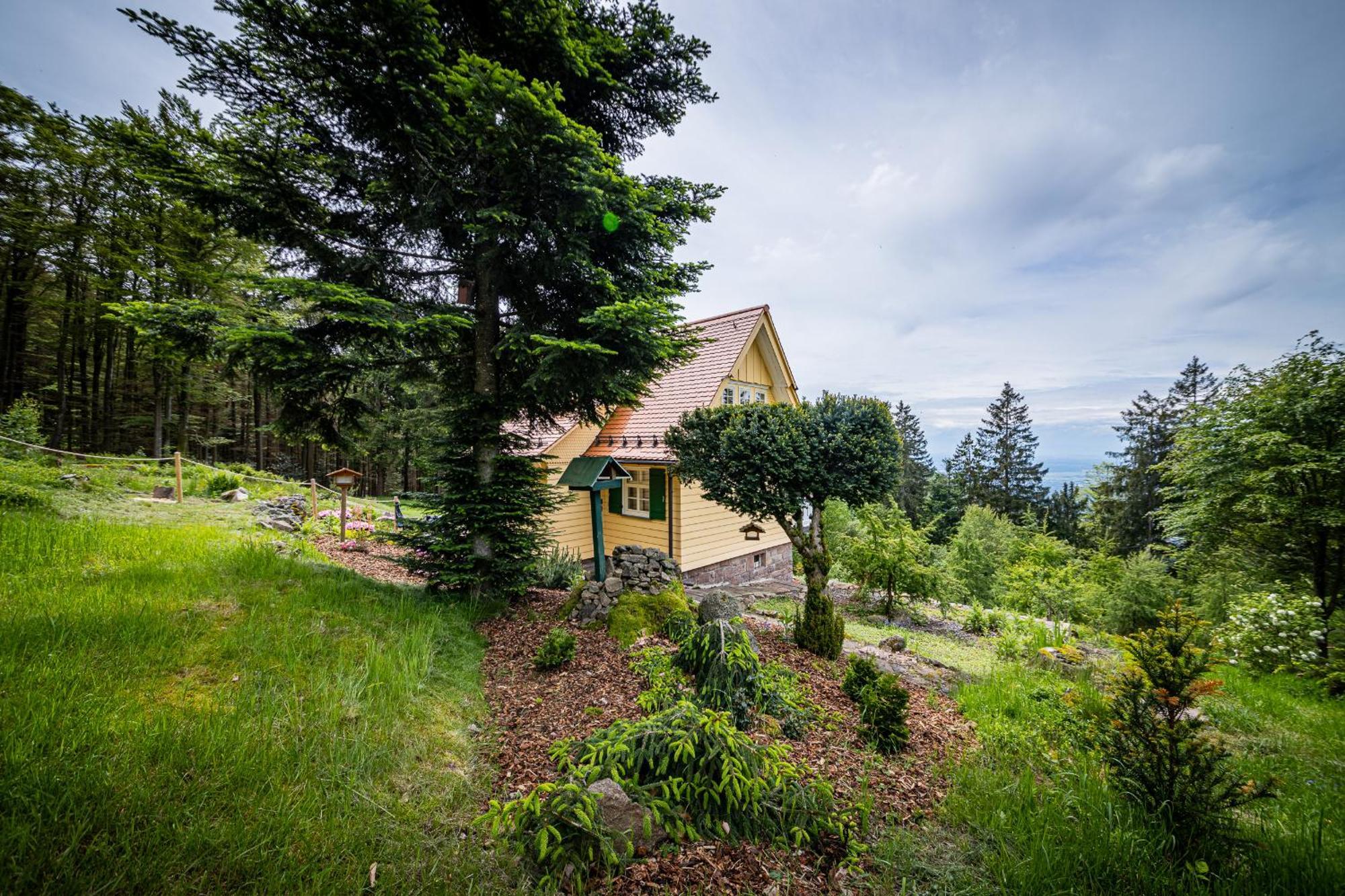 Sonnenhaeusle - Natur. Fernblick. Panorama-Sauna. Sasbachwalden Exterior photo