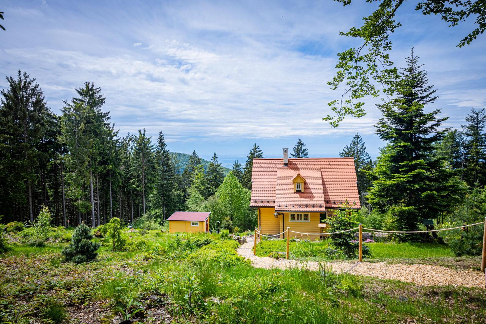 Sonnenhaeusle - Natur. Fernblick. Panorama-Sauna. Sasbachwalden Exterior photo