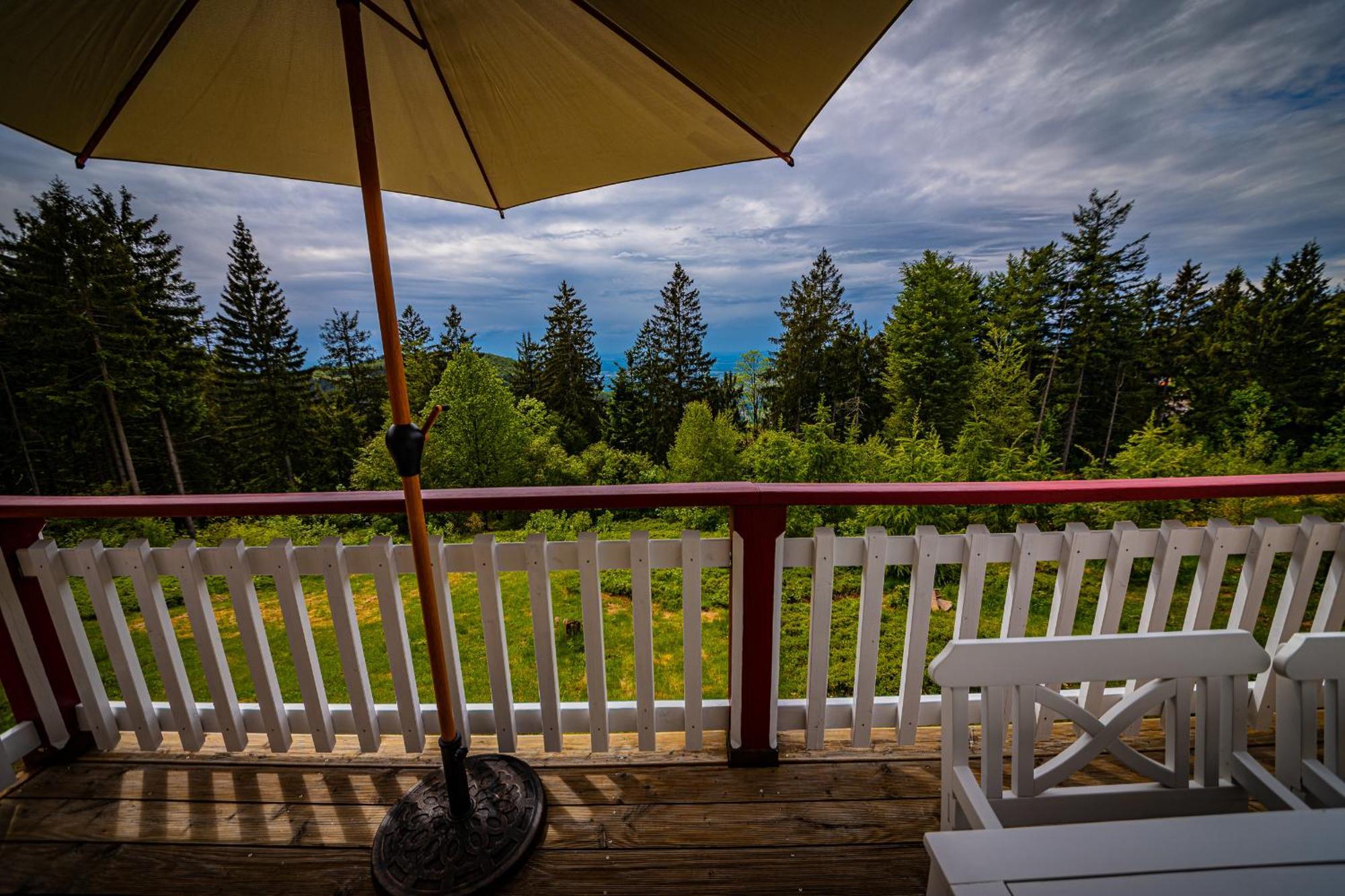 Sonnenhaeusle - Natur. Fernblick. Panorama-Sauna. Sasbachwalden Exterior photo